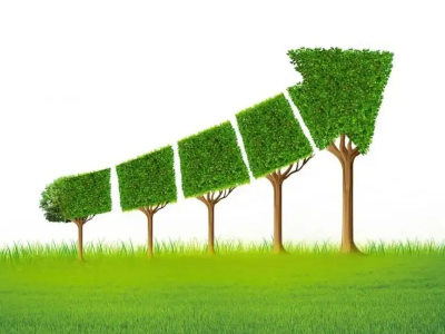 什么是碳邊境調(diào)節(jié)機制，對中國有哪些影響？