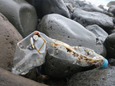 證明“海洋塑料”，需要遵循哪些標(biāo)準(zhǔn)？