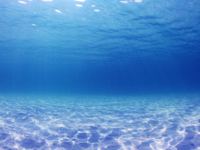 全球“限塑令”真的要來了！聯(lián)合國環(huán)境大會通過“限塑令”草案