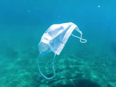 塑料垃圾為什么會進(jìn)入海洋？